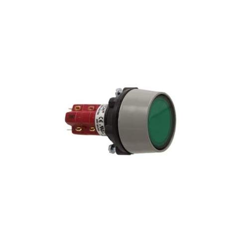 SWITCH PUSHBUTTON DPDT 8A 125V