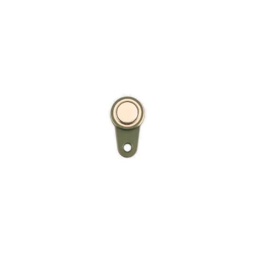 MAGNETIC DS1990A iBUTTON-GREEN