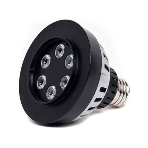 7W 120V WARM WHITE FLOOD LED UPL
