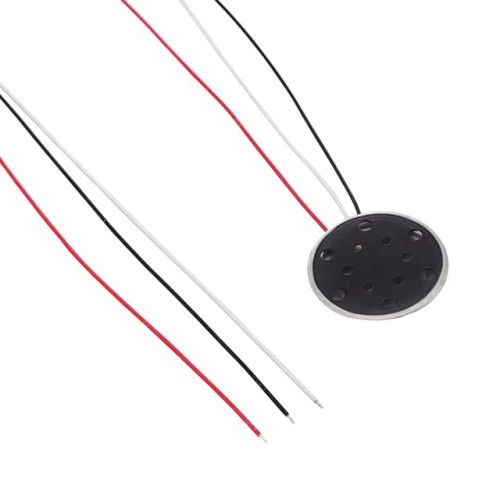 MICROPHONE