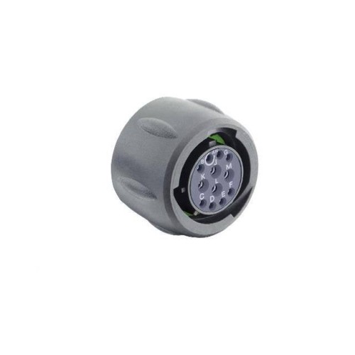 PLUG, WITHOUT BACKSHELL, WITH 12