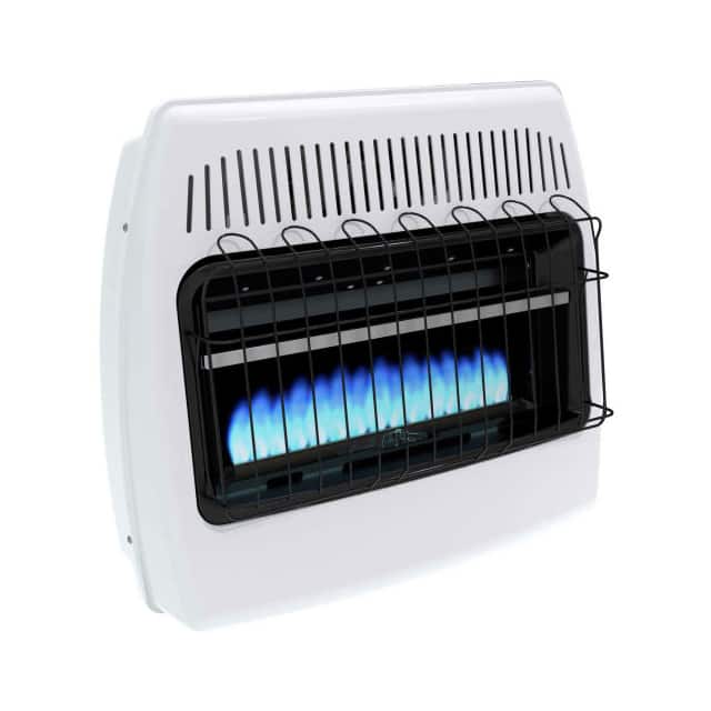 BF30NMDG NATURAL GAS BLUE FLAME